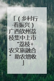 （乡村行·看振兴）广西钦州荔枝集中上市 “荔枝+农文旅融合”助农增收