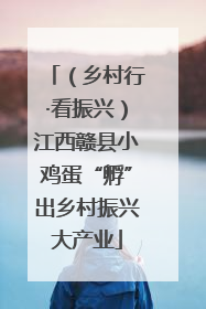（乡村行·看振兴）江西赣县小鸡蛋“孵”出乡村振兴大产业