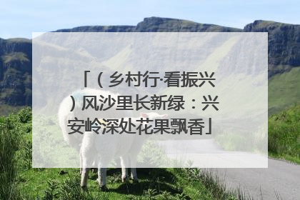 （乡村行·看振兴）风沙里长新绿：兴安岭深处花果飘香