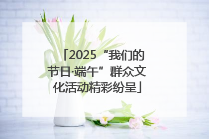 2025“我们的节日·端午”群众文化活动精彩纷呈