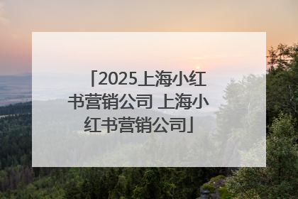 2025上海小红书营销公司 上海小红书营销公司