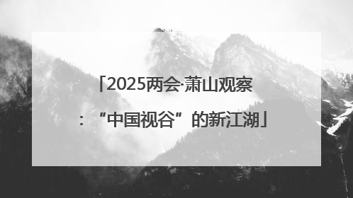 2025两会·萧山观察：“中国视谷”的新江湖