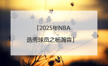 2025年NBA选秀球员之杨瀚森