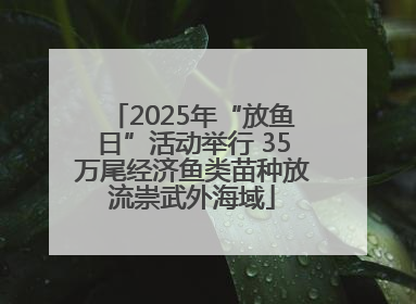 2025年“放鱼日”活动举行 35万尾经济鱼类苗种放流崇武外海域
