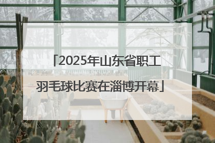 2025年山东省职工羽毛球比赛在淄博开幕
