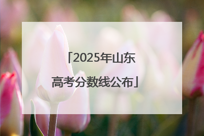 2025年山东高考分数线公布
