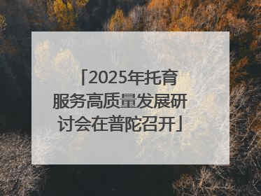 2025年托育服务高质量发展研讨会在普陀召开