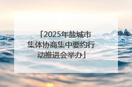 2025年盐城市集体协商集中要约行动推进会举办