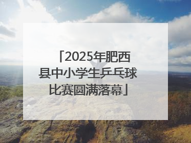 2025年肥西县中小学生乒乓球比赛圆满落幕