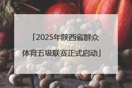 2025年陕西省群众体育五级联赛正式启动