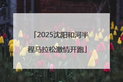 2025沈阳和河半程马拉松激情开跑