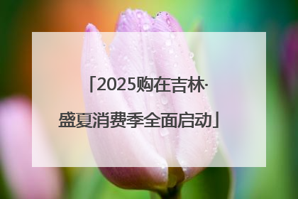 2025购在吉林·盛夏消费季全面启动