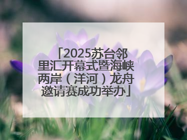 2025苏台邻里汇开幕式暨海峡两岸（洋河）龙舟邀请赛成功举办