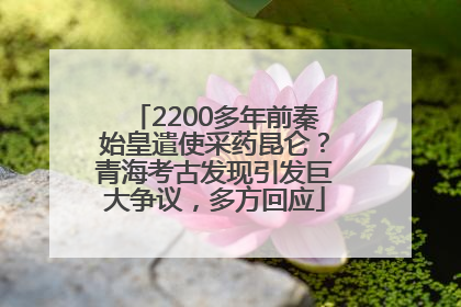 2200多年前秦始皇遣使采药昆仑？青海考古发现引发巨大争议，多方回应
