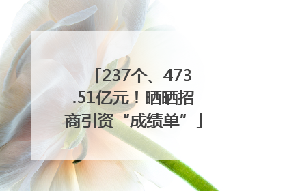 237个、473.51亿元！晒晒招商引资“成绩单”