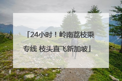 24小时！岭南荔枝乘专线 枝头直飞新加坡