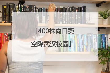 400株向日葵空降武汉校园
