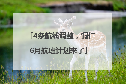 4条航线调整，铜仁6月航班计划来了