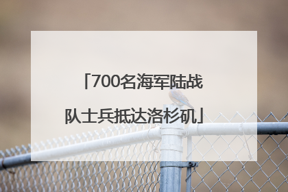 700名海军陆战队士兵抵达洛杉矶