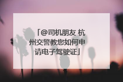 @司机朋友 杭州交警教您如何申请电子驾驶证