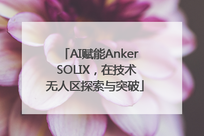 AI赋能Anker SOLIX，在技术无人区探索与突破